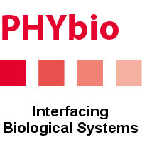 PHYbio Logo